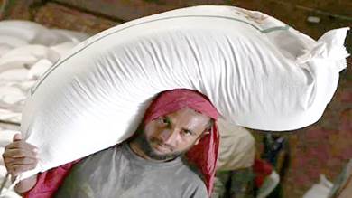 ​موسم أليم للمزارعين في الهند بعد قرار الدولة حظر تصدير القمح